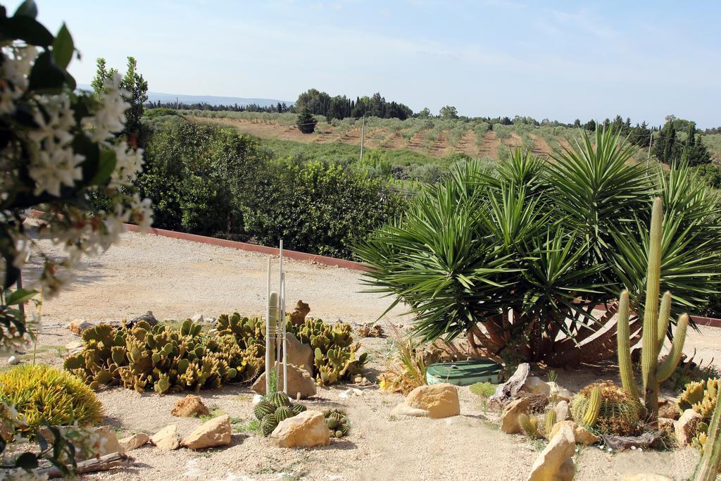Palmas Dorada Home Ольмедо Екстер'єр фото